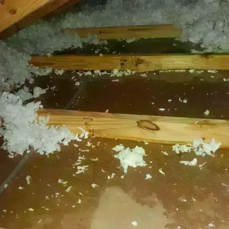 Attic Water Damage in Calimesa, CA