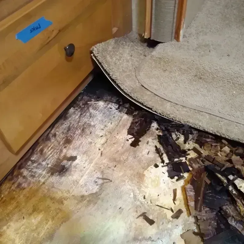 Best Wood Floor Water Damage Service in Calimesa, CA